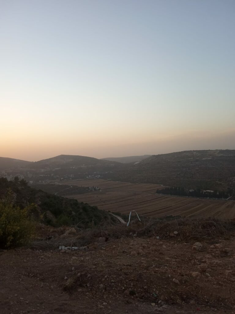 homes in the settlements