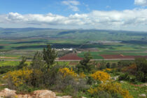 Real estate in the Golan