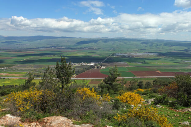 Real estate in the Golan