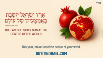 buyitinisrael